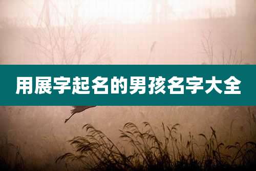 用展字起名的男孩名字大全