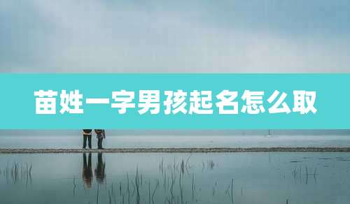 苗姓一字男孩起名怎么取