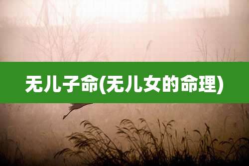 无儿子命(无儿女的命理)