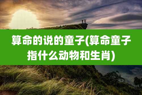 算命的说的童子(算命童子指什么动物和生肖)