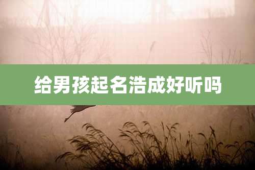 给男孩起名浩成好听吗