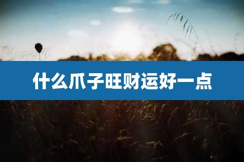 什么爪子旺财运好一点