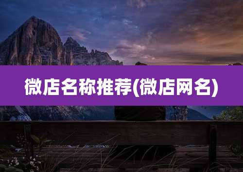 微店名称推荐(微店网名)