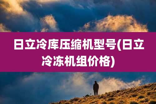 日立冷库压缩机型号(日立冷冻机组价格)