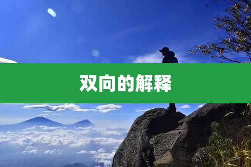 双向的解释