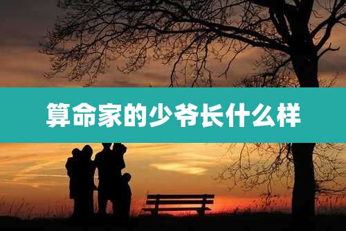 算命家的少爷长什么样