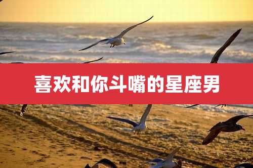 喜欢和你斗嘴的星座男