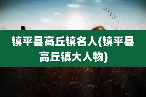 镇平县高丘镇名人(镇平县高丘镇大人物)