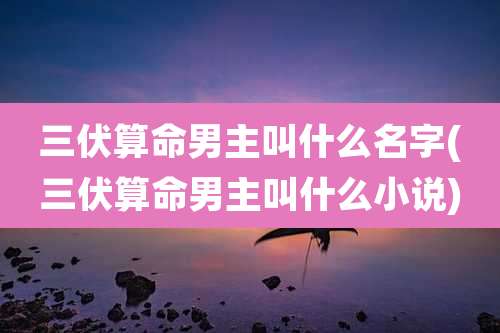 三伏算命男主叫什么名字(三伏算命男主叫什么小说)
