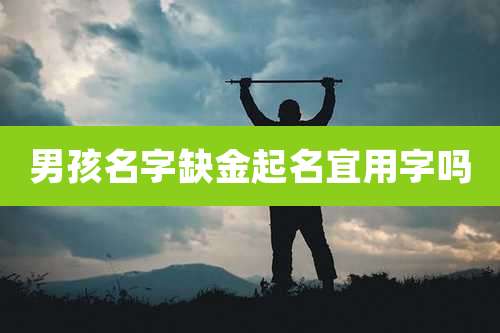 男孩名字缺金起名宜用字吗