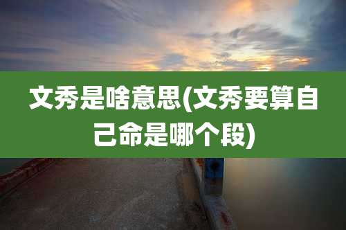 文秀是啥意思(文秀要算自己命是哪个段)