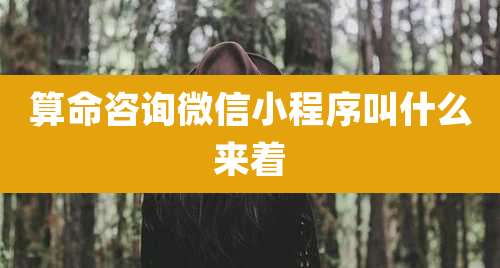 算命咨询微信小程序叫什么来着