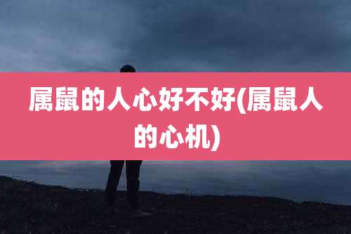 属鼠的人心好不好(属鼠人的心机)