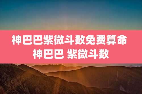 神巴巴紫微斗数免费算命 神巴巴 紫微斗数