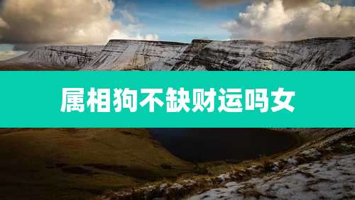 属相狗不缺财运吗女