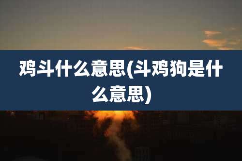 鸡斗什么意思(斗鸡狗是什么意思)