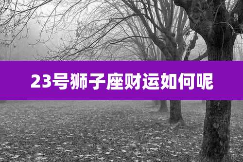 23号狮子座财运如何呢