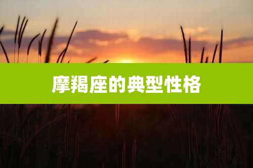 摩羯座的典型性格