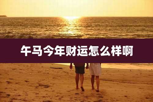 午马今年财运怎么样啊
