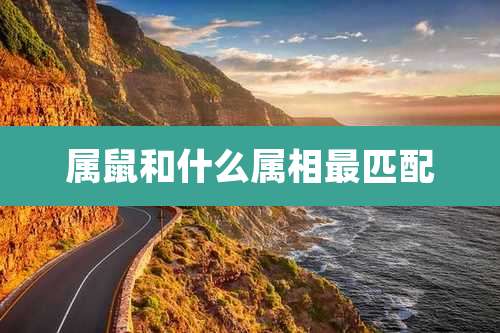 属鼠和什么属相最匹配