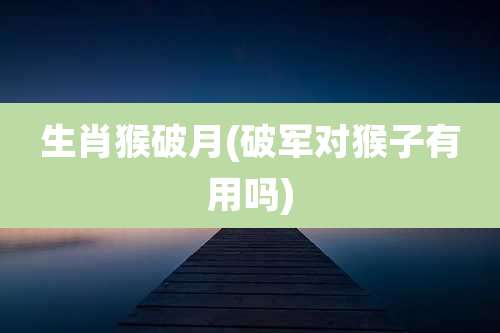 生肖猴破月(破军对猴子有用吗)