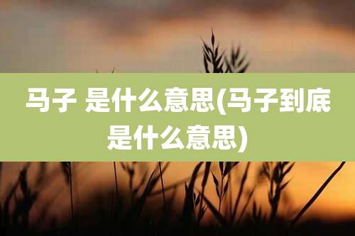 马子 是什么意思(马子到底是什么意思)