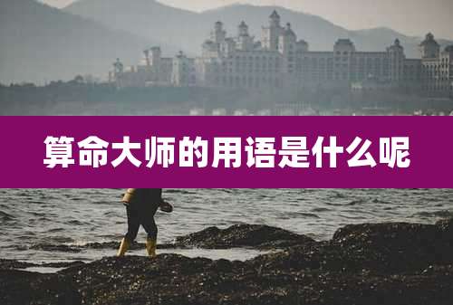 算命大师的用语是什么呢