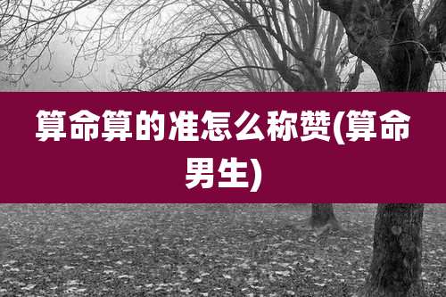 算命算的准怎么称赞(算命男生)