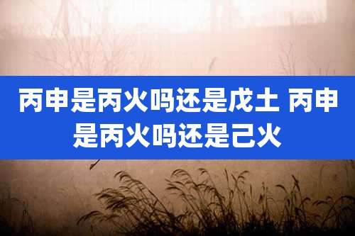 丙申是丙火吗还是戊土 丙申是丙火吗还是己火