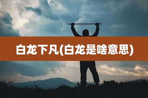 白龙下凡(白龙是啥意思)