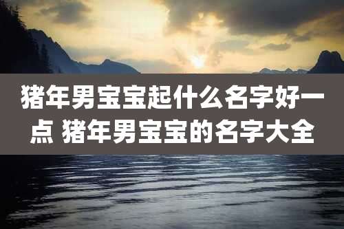 猪年男宝宝起什么名字好一点 猪年男宝宝的名字大全