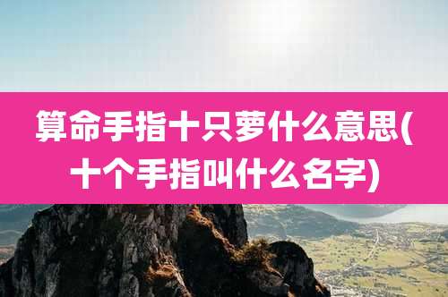 算命手指十只萝什么意思(十个手指叫什么名字)