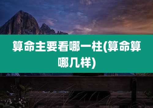 算命主要看哪一柱(算命算哪几样)