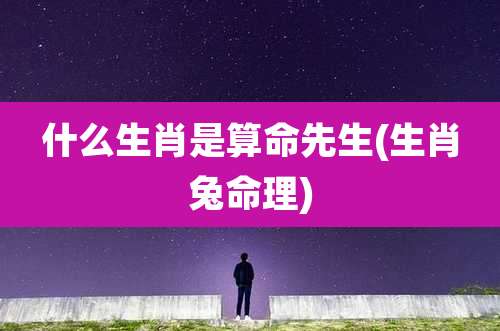 什么生肖是算命先生(生肖兔命理)