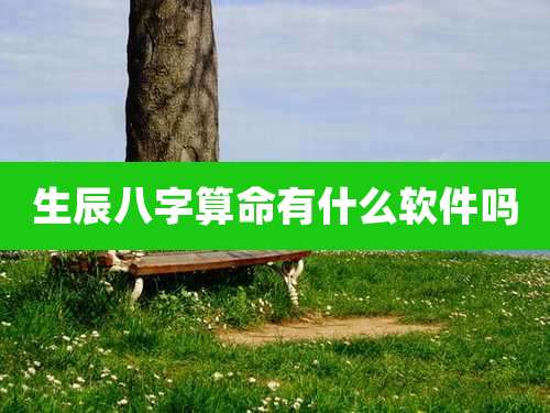 生辰八字算命有什么软件吗
