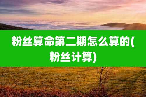 粉丝算命第二期怎么算的(粉丝计算)