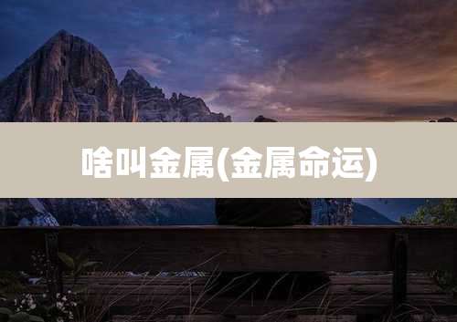 啥叫金属(金属命运)