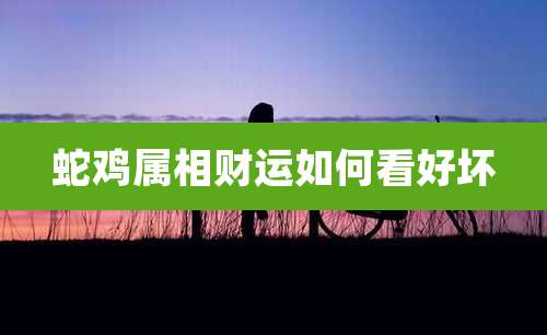 蛇鸡属相财运如何看好坏