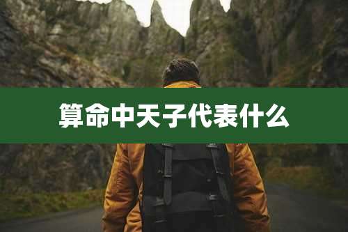 算命中天子代表什么