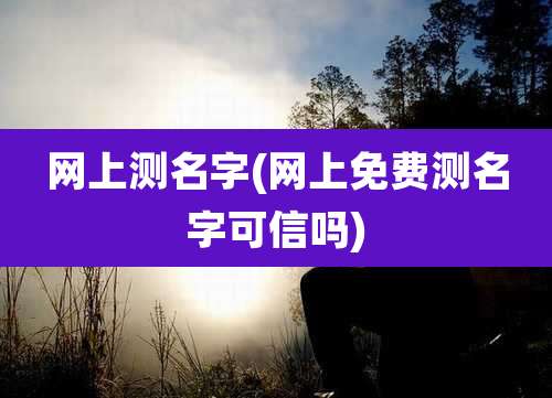 网上测名字(网上免费测名字可信吗)