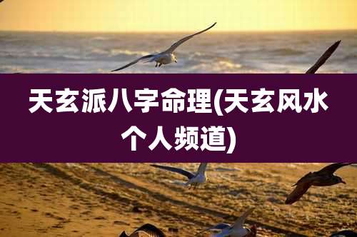 天玄派八字命理(天玄风水个人频道)
