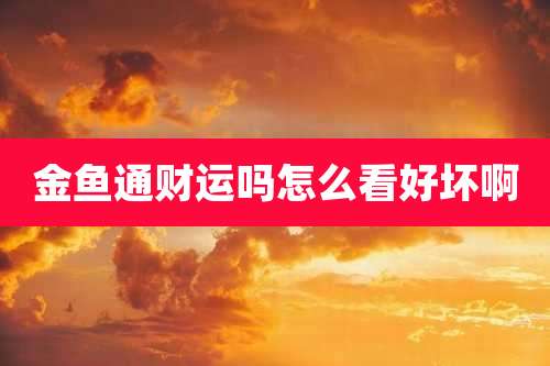 金鱼通财运吗怎么看好坏啊