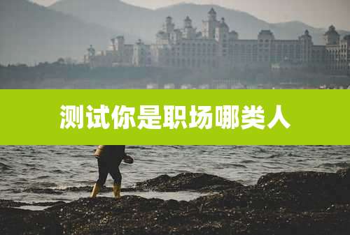 测试你是职场哪类人