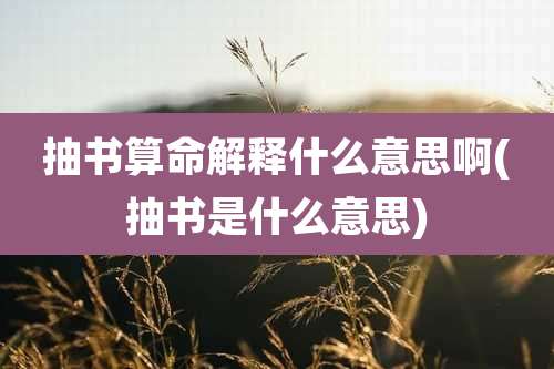 抽书算命解释什么意思啊(抽书是什么意思)