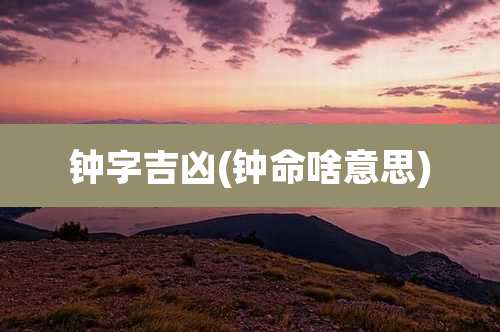 钟字吉凶(钟命啥意思)