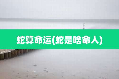 蛇算命运(蛇是啥命人)
