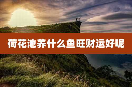 荷花池养什么鱼旺财运好呢