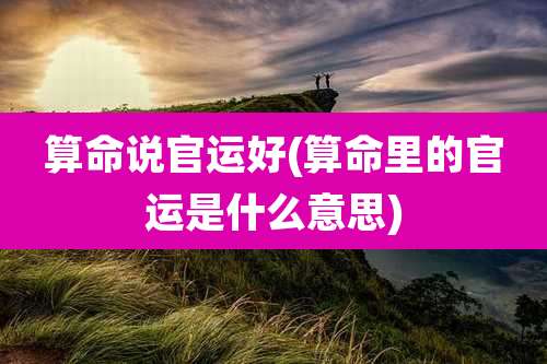 算命说官运好(算命里的官运是什么意思)