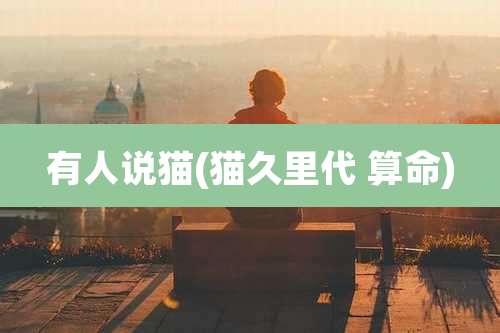 有人说猫(猫久里代 算命)