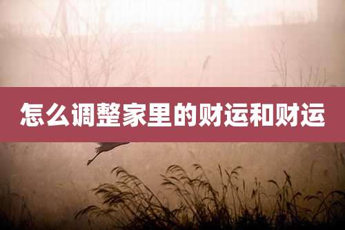 怎么调整家里的财运和财运